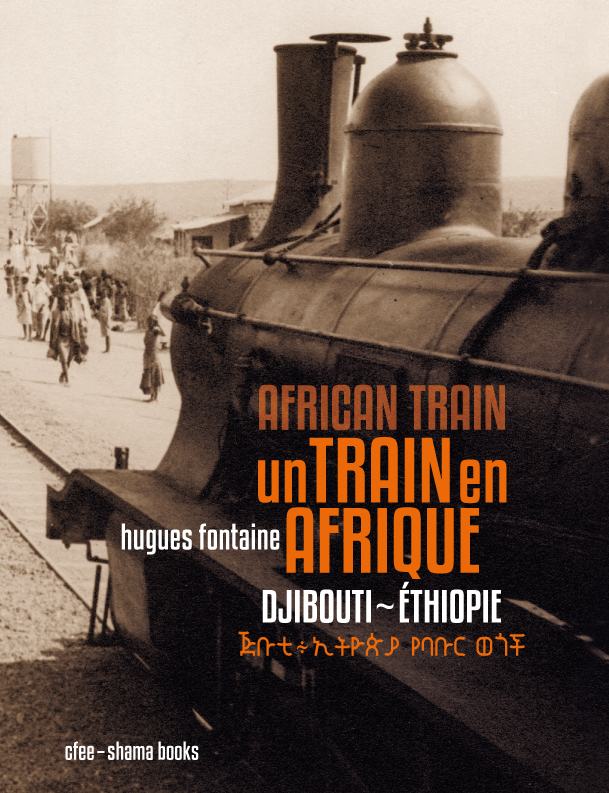 Parution le 5 novembre 2012 de UN TRAIN EN AFRIQUE
