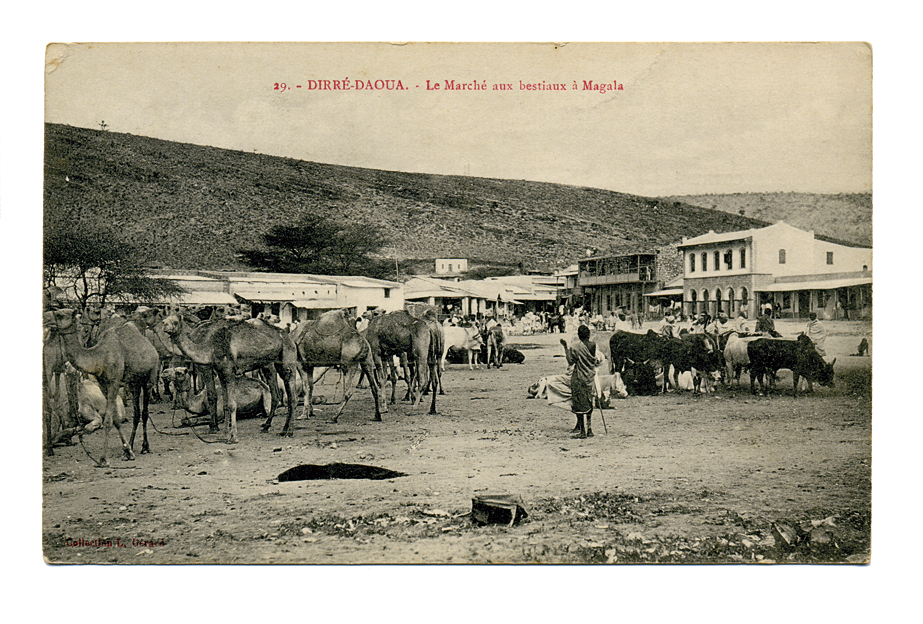 MARCHAND-Alexandre-Carte-postale-Djibouti-19130709-Recto-120515s