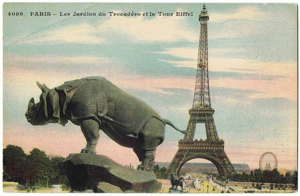 Rhino et tour